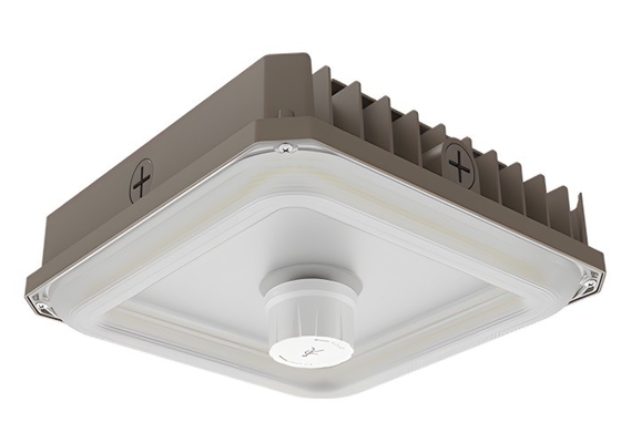 雪の豪奢 High Lumen And CCT With Dimming 0-10V Light Canopy LED 60W ボディ・フェイスケア